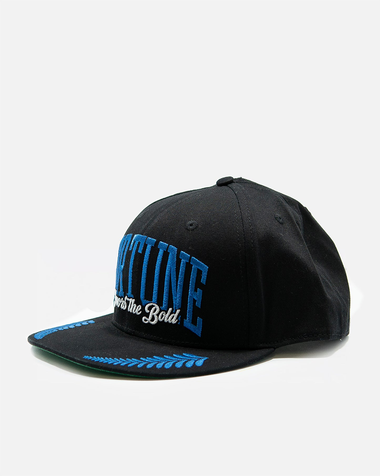 Fortune | Favore The Gold Snapback