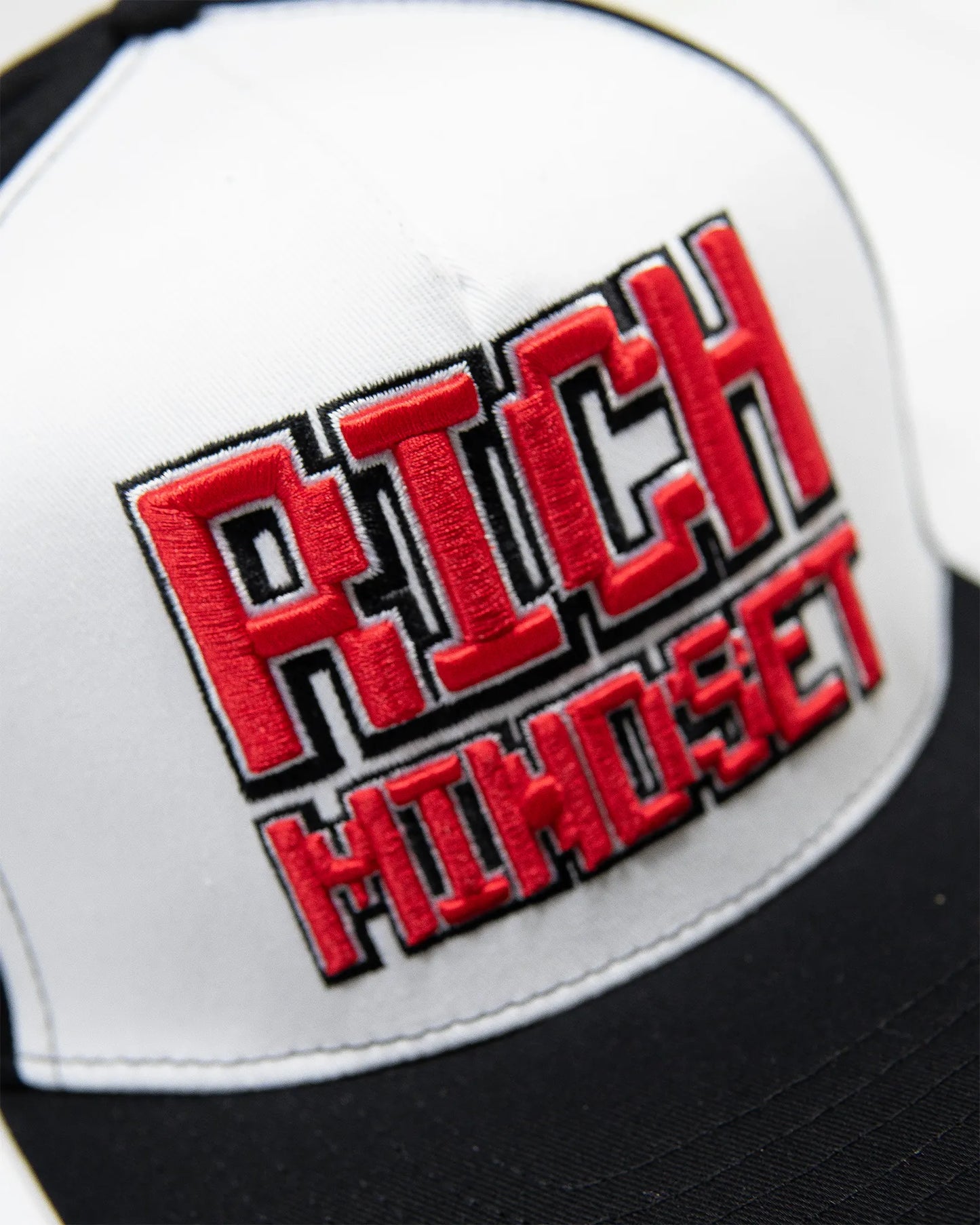 Rich Mindset Snapback