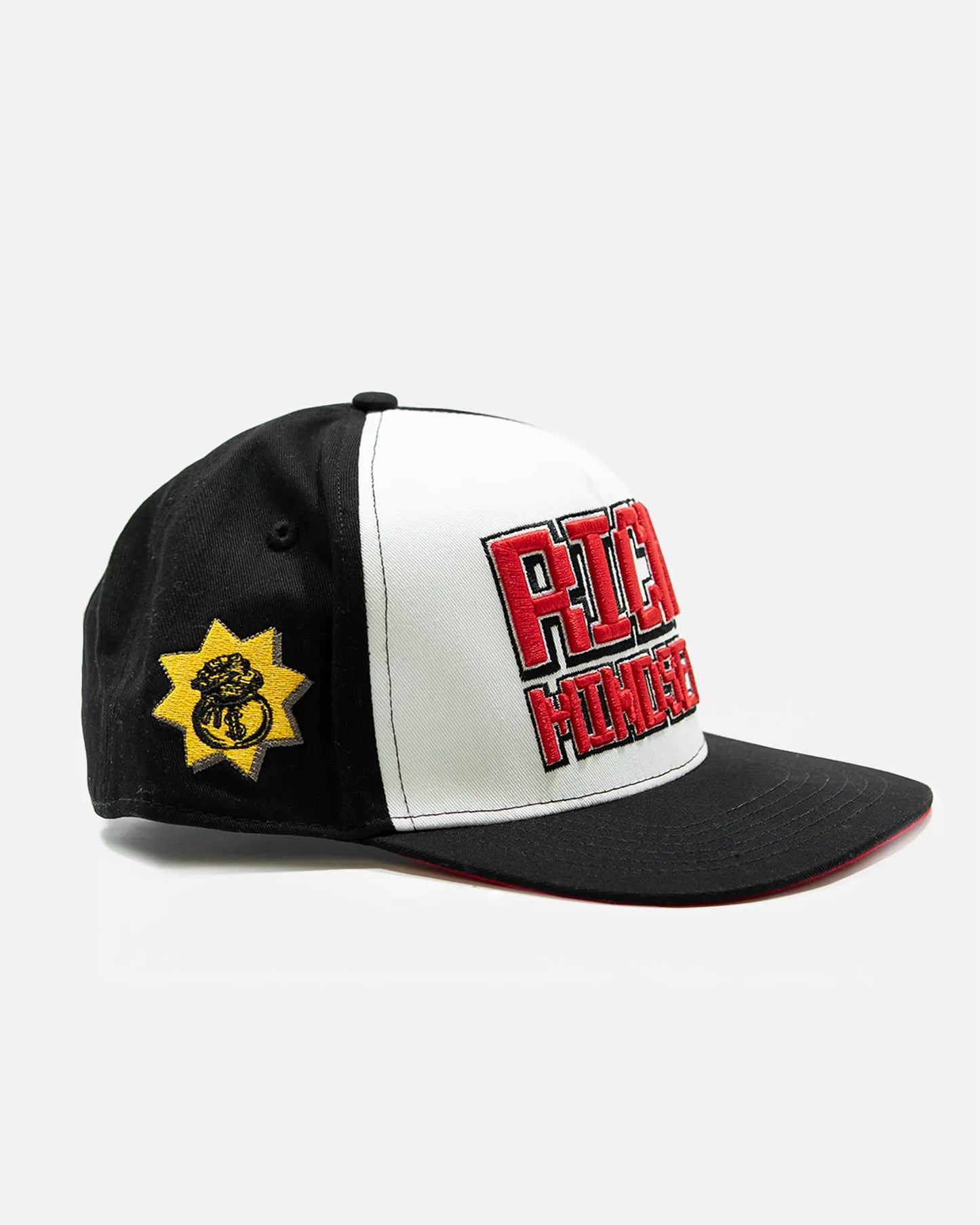 Rich Mindset Snapback