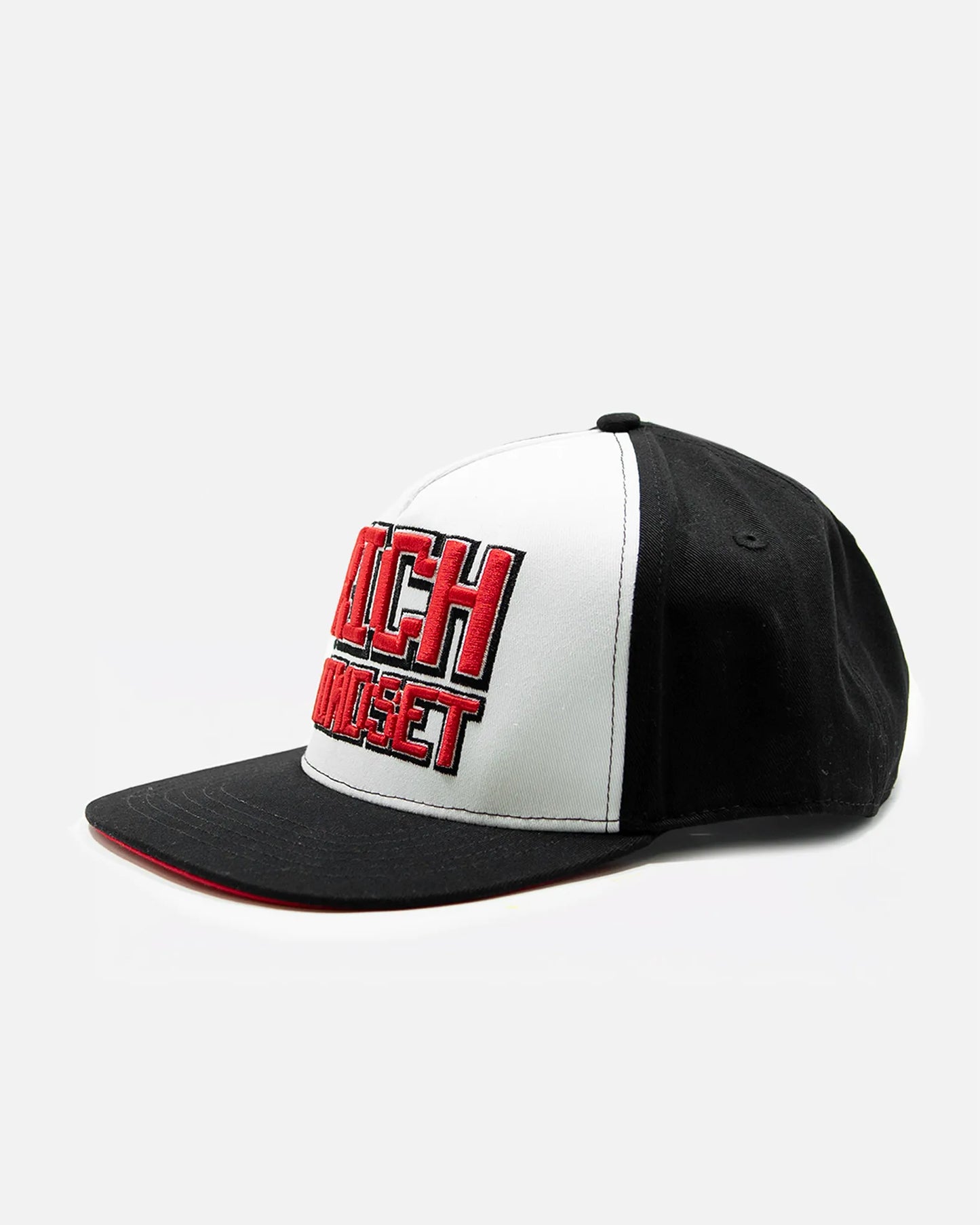 Rich Mindset Snapback