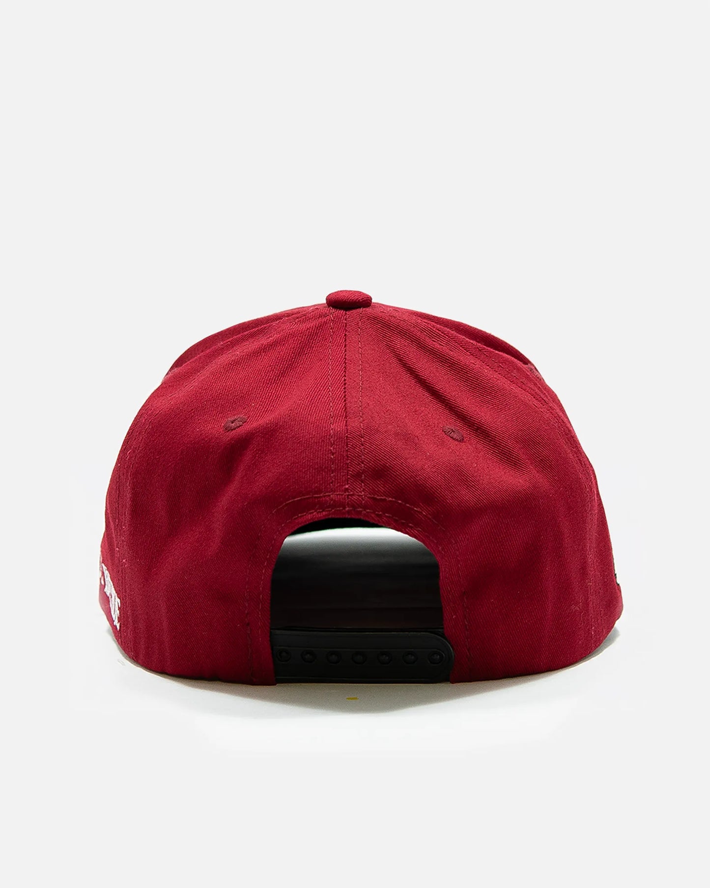 Inside Bear Snapback