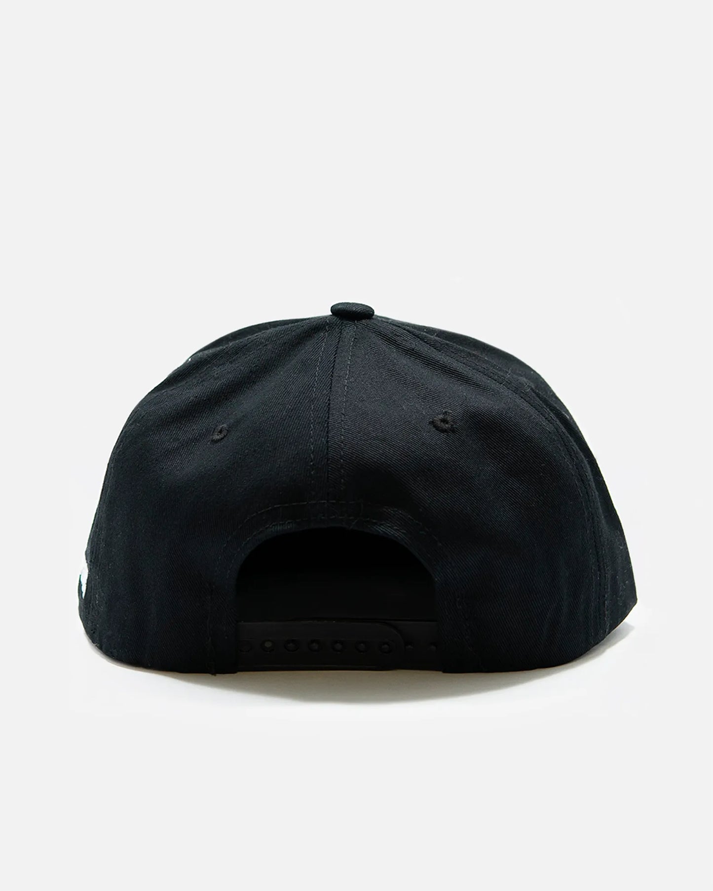 Skully Bear Snapback