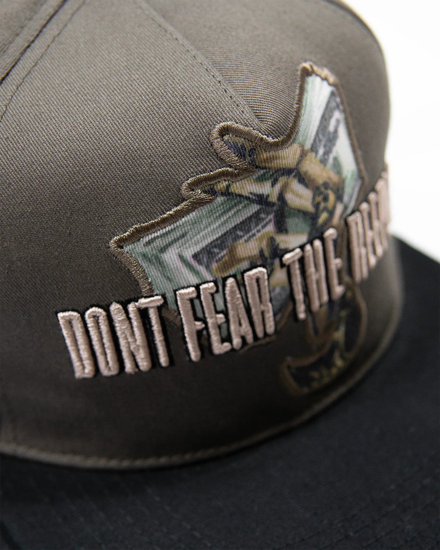 Don't Fear Snapback